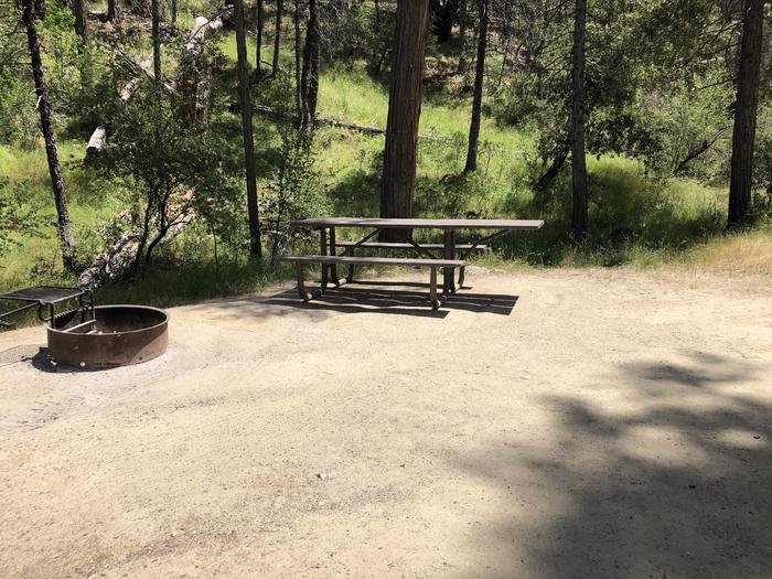 A photo of Site 019 of Loop FORKS CAMPGROUND at Forks Campground (Sierra) with Picnic Table, Fire Pit, Shade, Tent Pad
