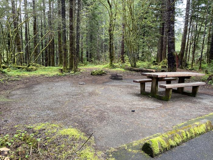 A photo of Site 027 of Loop LOOP B at COHO CAMPGROUND with Picnic Table, Fire Pit, Tent Pad