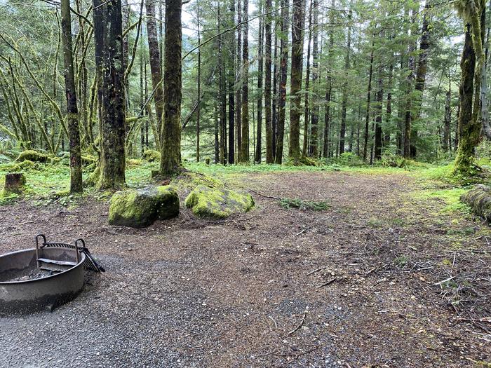 A photo of Site 027 of Loop LOOP B at COHO CAMPGROUND with Fire Pit, Tent Pad