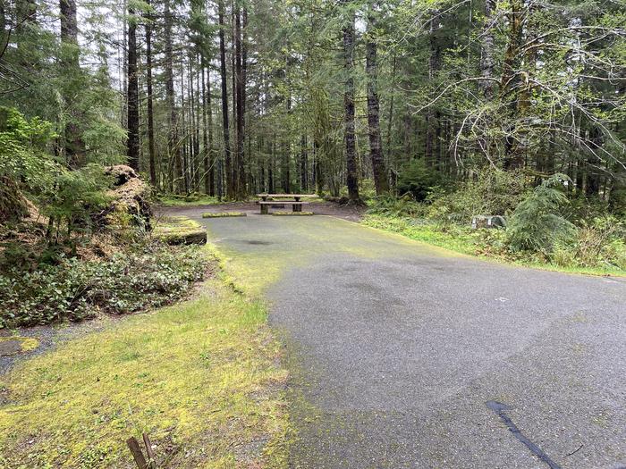 A photo of Site 027 of Loop LOOP B at COHO CAMPGROUND with No Amenities Shown