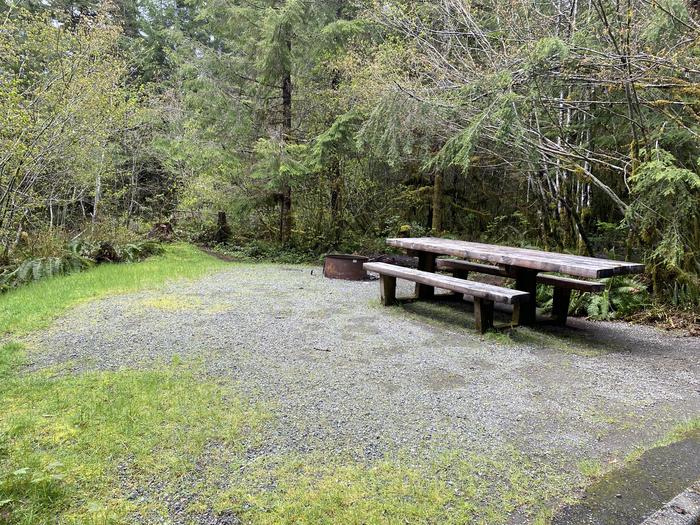 A photo of Site 014 of Loop LOOP A at COHO CAMPGROUND with Picnic Table, Fire Pit, Tent Pad