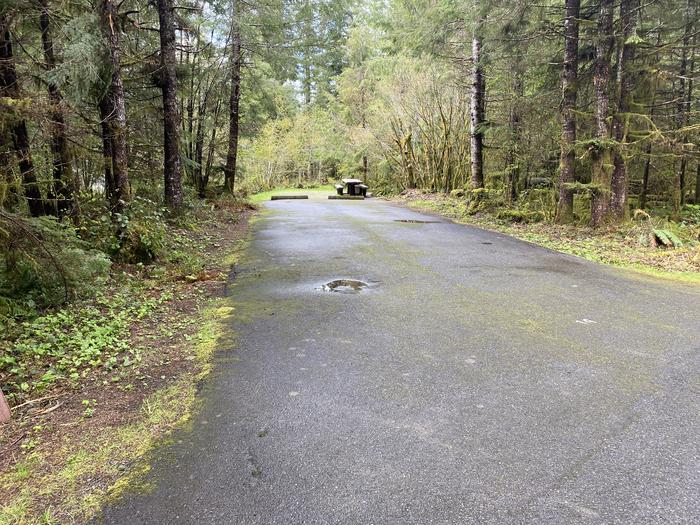 A photo of Site 014 of Loop LOOP A at COHO CAMPGROUND with No Amenities Shown