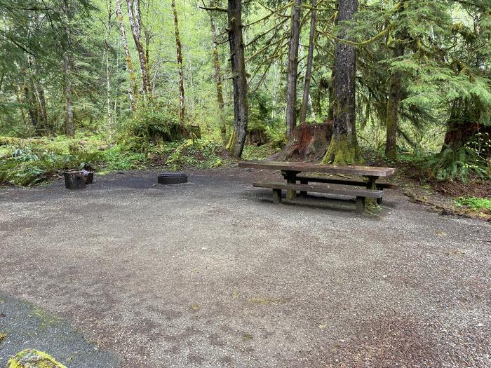 A photo of Site 004 of Loop LOOP A at COHO CAMPGROUND with Picnic Table, Fire Pit, Tent Pad