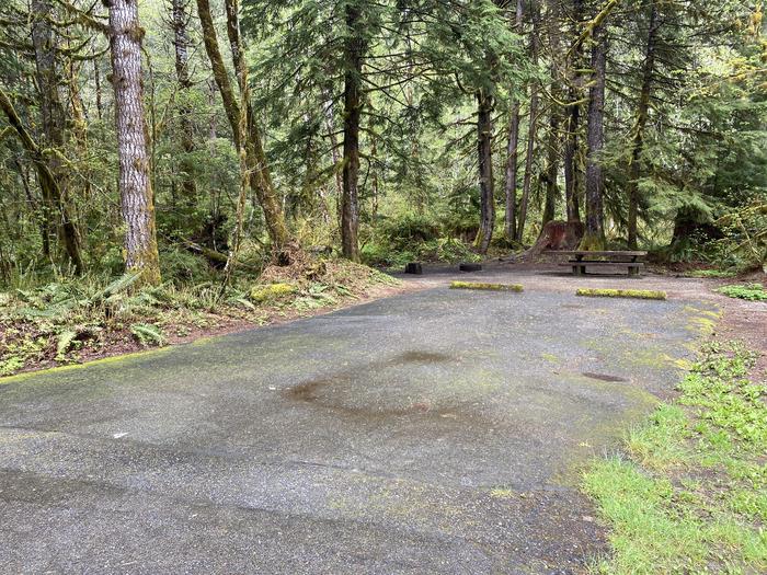 A photo of Site 004 of Loop LOOP A at COHO CAMPGROUND with No Amenities Shown