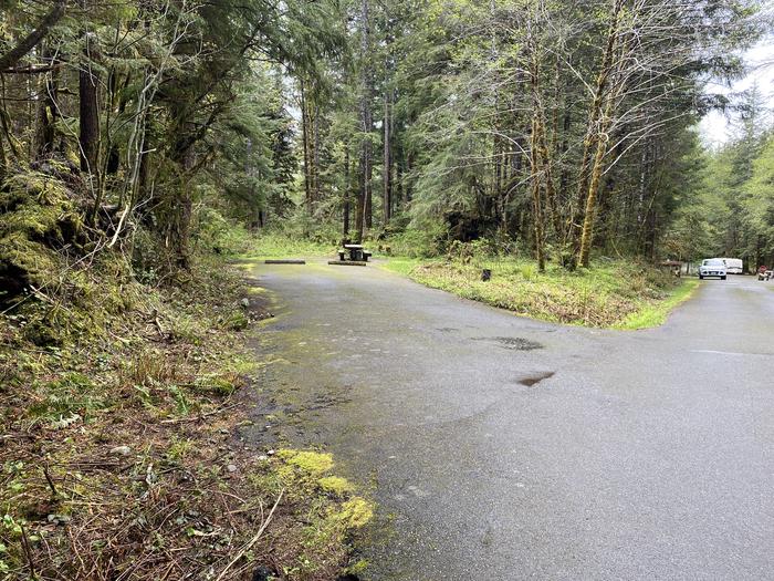 A photo of Site 025 of Loop LOOP B at COHO CAMPGROUND with No Amenities Shown