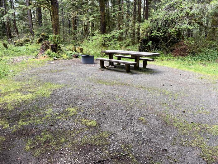 A photo of Site 025 of Loop LOOP B at COHO CAMPGROUND with Picnic Table, Fire Pit, Tent Pad