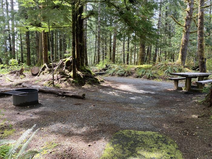 A photo of Site 049 of Loop HIKE-IN at COHO CAMPGROUND with Picnic Table, Fire Pit, Tent Pad