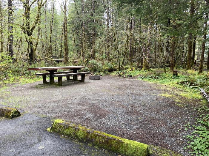 A photo of Site 019 of Loop LOOP A at COHO CAMPGROUND with Picnic Table, Fire Pit, Tent Pad