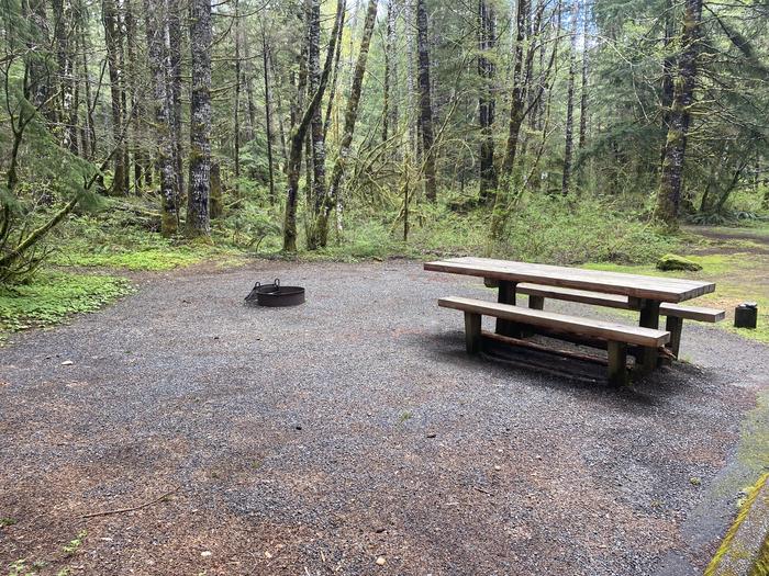 A photo of Site 046 of Loop LOOP B at COHO CAMPGROUND with Picnic Table, Fire Pit, Tent Pad