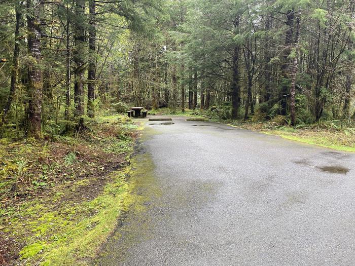 A photo of Site 019 of Loop LOOP A at COHO CAMPGROUND with No Amenities Shown
