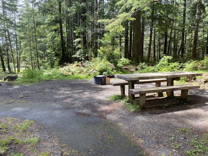 A photo of Site Yurt 50 of Loop WALK-IN at COHO CAMPGROUND with Picnic Table, Fire Pit