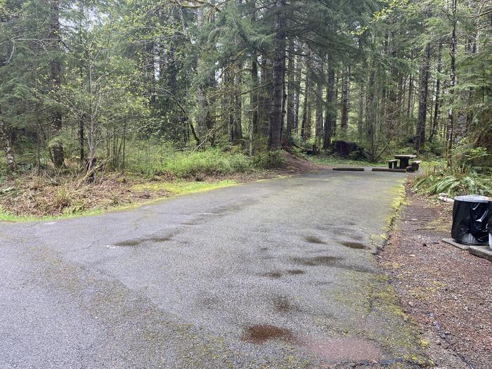 A photo of Site 046 of Loop LOOP B at COHO CAMPGROUND with No Amenities Shown