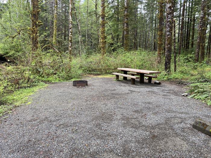 A photo of Site 042 of Loop LOOP B at COHO CAMPGROUND with Picnic Table, Fire Pit, Tent Pad