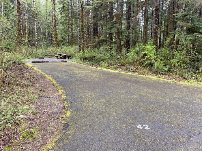 A photo of Site 042 of Loop LOOP B at COHO CAMPGROUND with No Amenities Shown