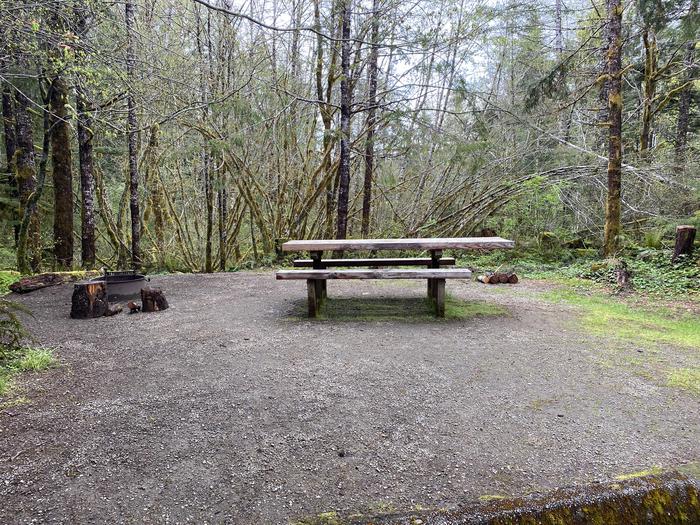 A photo of Site 018 of Loop LOOP A at COHO CAMPGROUND with Picnic Table, Fire Pit, Tent Pad