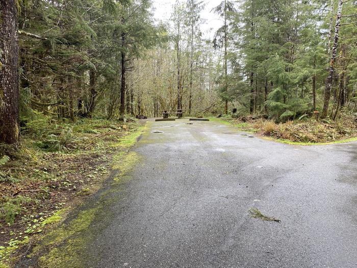 A photo of Site 018 of Loop LOOP A at COHO CAMPGROUND with No Amenities Shown