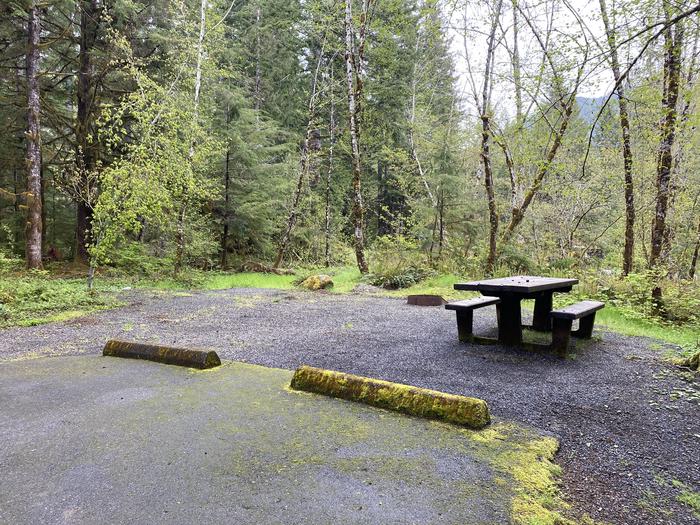 A photo of Site 021 of Loop LOOP A at COHO CAMPGROUND with Picnic Table, Fire Pit, Tent Pad