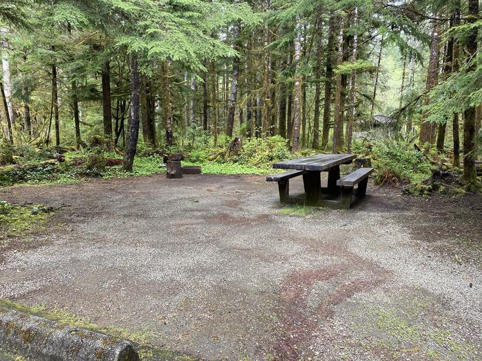 A photo of Site 017 of Loop LOOP A at COHO CAMPGROUND with Picnic Table, Fire Pit, Tent Pad