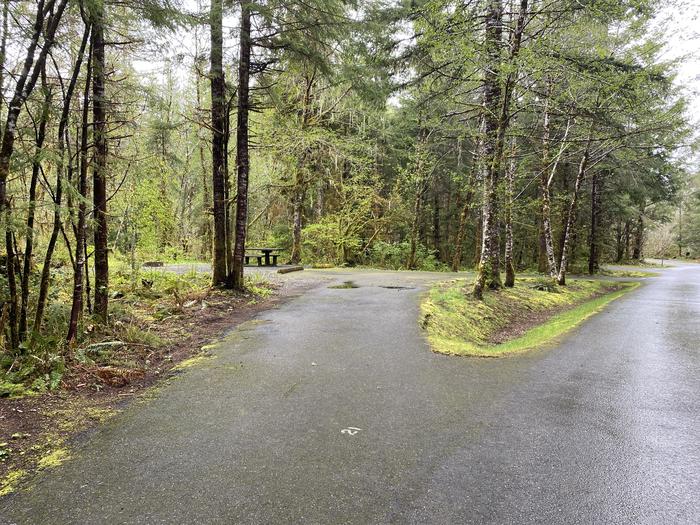 A photo of Site 021 of Loop LOOP A at COHO CAMPGROUND with No Amenities Shown