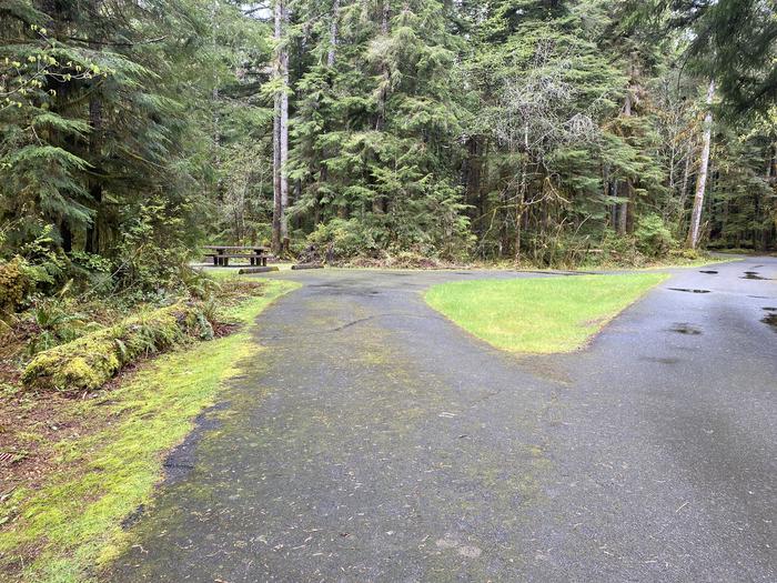 A photo of Site 011 of Loop LOOP A at COHO CAMPGROUND with No Amenities Shown