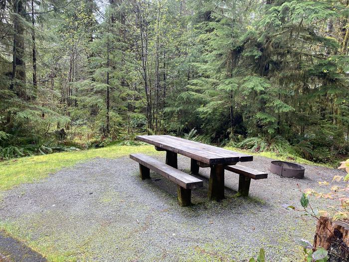 A photo of Site 011 of Loop LOOP A at COHO CAMPGROUND with Picnic Table, Fire Pit