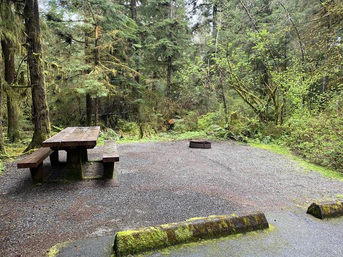 A photo of Site 022 of Loop LOOP A at COHO CAMPGROUND with Picnic Table, Fire Pit, Tent Pad