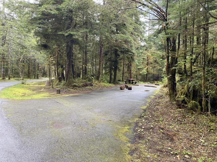 A photo of Site 022 of Loop LOOP A at COHO CAMPGROUND with No Amenities Shown