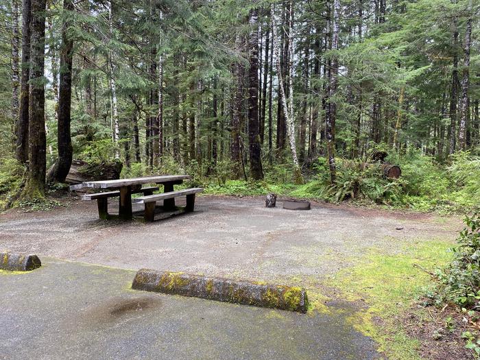 A photo of Site 026 of Loop LOOP B at COHO CAMPGROUND with Picnic Table, Fire Pit