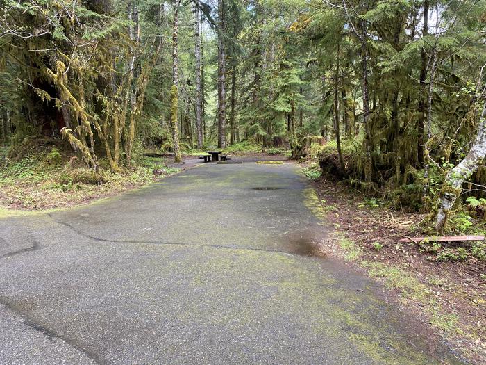 A photo of Site 010 of Loop LOOP A at COHO CAMPGROUND with No Amenities Shown