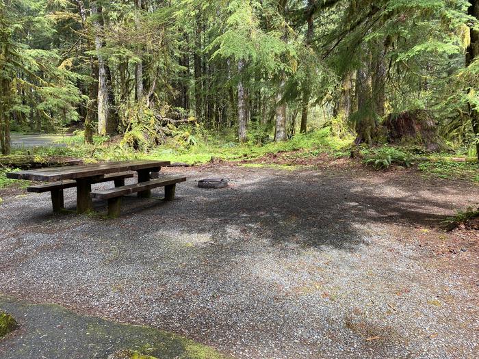 A photo of Site 010 of Loop LOOP A at COHO CAMPGROUND with Picnic Table, Fire Pit, Tent Pad