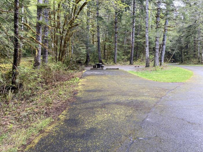 A photo of Site 041 of Loop LOOP B at COHO CAMPGROUND with No Amenities Shown