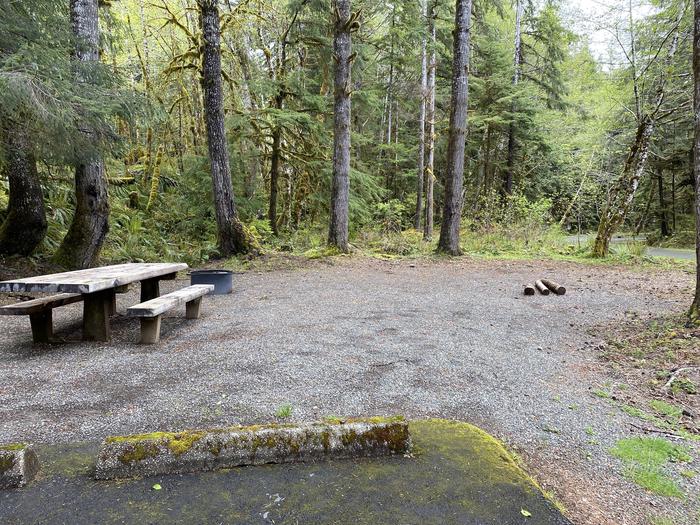 A photo of Site 041 of Loop LOOP B at COHO CAMPGROUND with Picnic Table, Fire Pit, Tent Pad