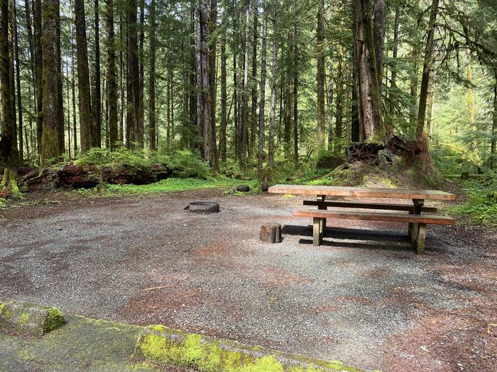 A photo of Site 008 of Loop LOOP A at COHO CAMPGROUND with Picnic Table, Fire Pit, Tent Pad