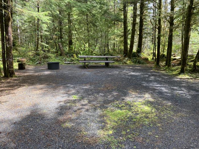 A photo of Site 052 of Loop HIKE-IN at COHO CAMPGROUND with Picnic Table, Fire Pit, Tent Pad
