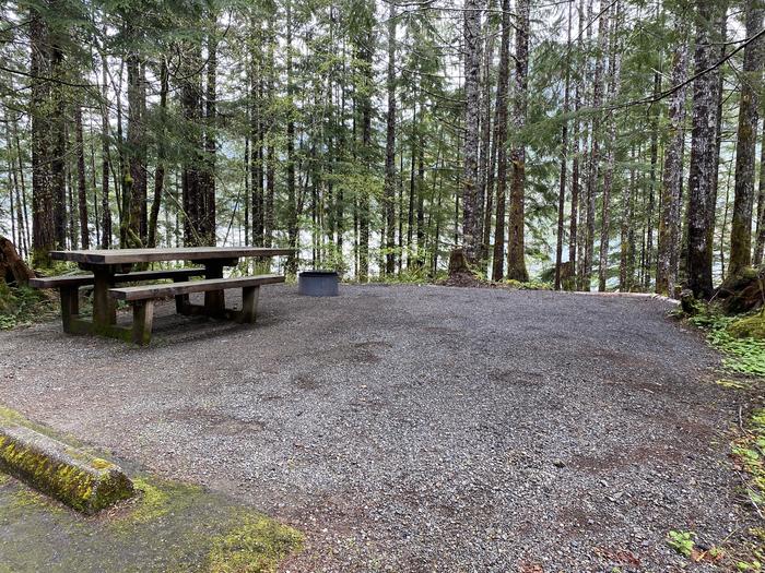 A photo of Site 031 of Loop LOOP B at COHO CAMPGROUND with Picnic Table, Fire Pit, Tent Pad