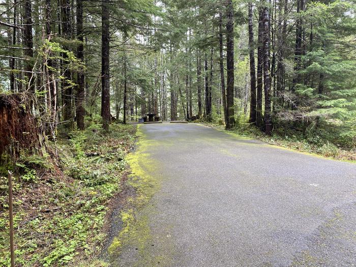 A photo of Site 031 of Loop LOOP B at COHO CAMPGROUND with No Amenities Shown