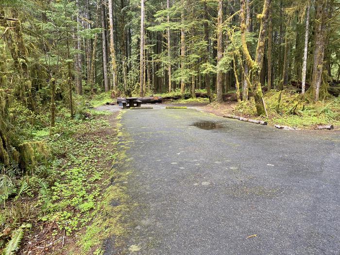 A photo of Site 009 of Loop LOOP A at COHO CAMPGROUND with No Amenities Shown