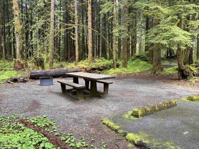 A photo of Site 009 of Loop LOOP A at COHO CAMPGROUND with Picnic Table, Fire Pit, Tent Pad