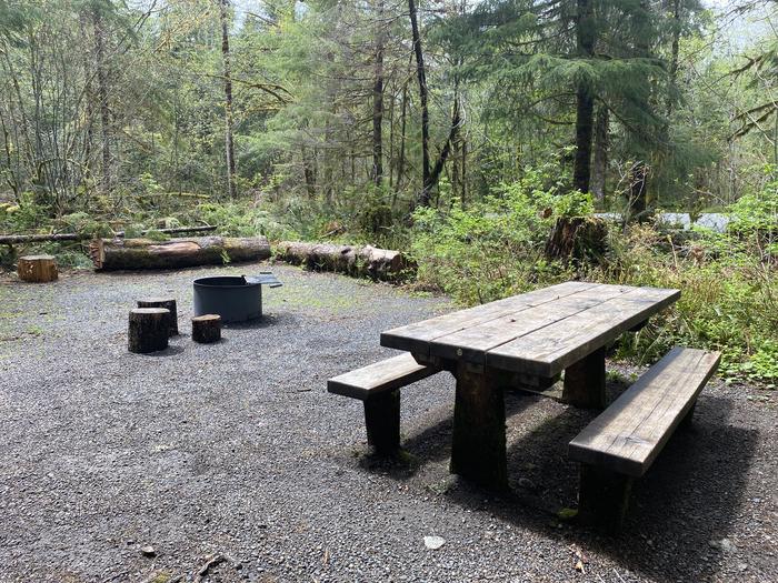 A photo of Site 047 of Loop HIKE-IN at COHO CAMPGROUND with Picnic Table, Fire Pit