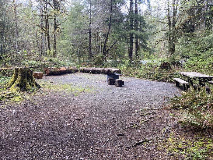 A photo of Site 047 of Loop HIKE-IN at COHO CAMPGROUND with Picnic Table, Fire Pit, Tent Pad