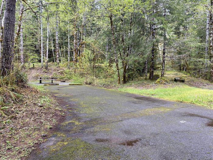 A photo of Site 043 of Loop LOOP B at COHO CAMPGROUND with No Amenities Shown