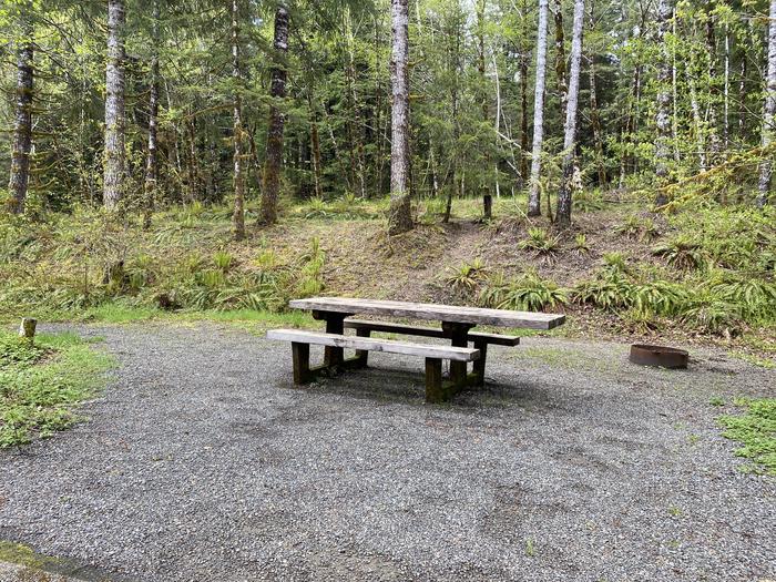 A photo of Site 043 of Loop LOOP B at COHO CAMPGROUND with Picnic Table, Fire Pit, Tent Pad