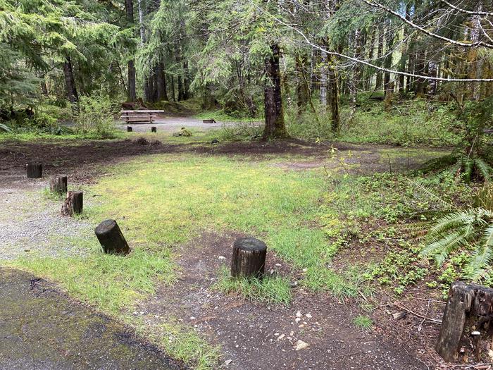 A photo of Site 024 of Loop LOOP B at COHO CAMPGROUND with Tent Pad