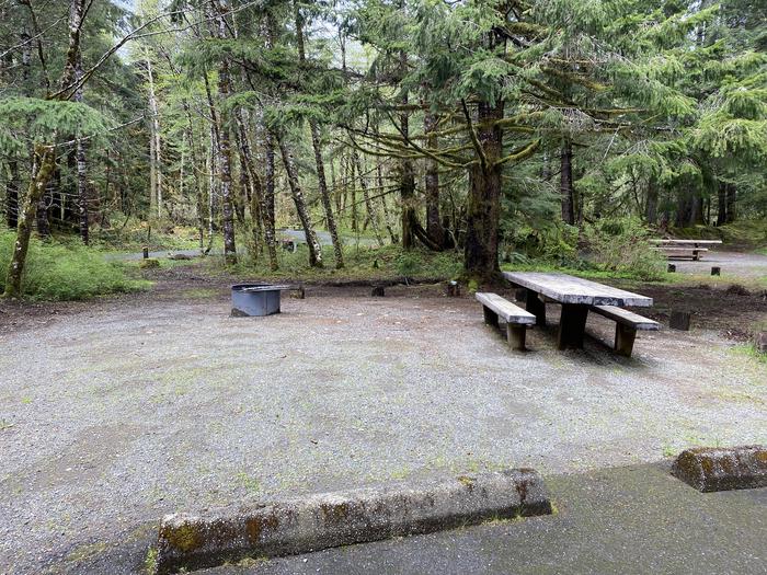 A photo of Site 024 of Loop LOOP B at COHO CAMPGROUND with Picnic Table, Fire Pit