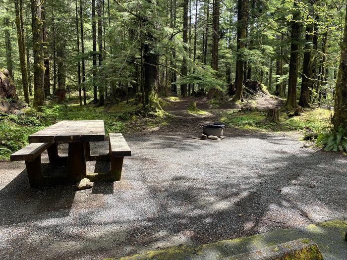 A photo of Site 037 of Loop LOOP B at COHO CAMPGROUND with Picnic Table, Fire Pit, Tent Pad
