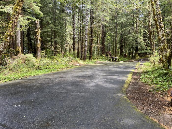 A photo of Site 037 of Loop LOOP B at COHO CAMPGROUND with No Amenities Shown