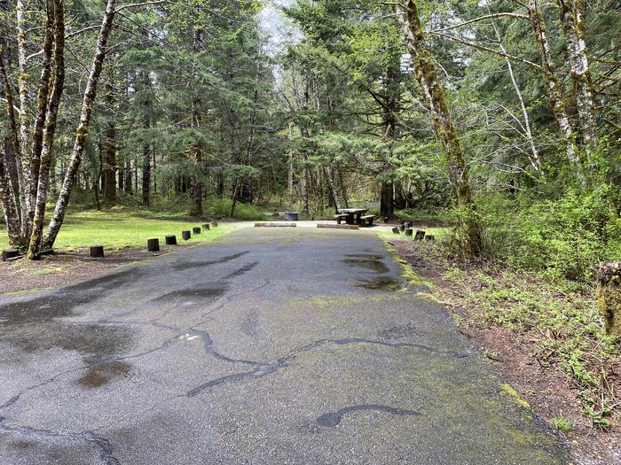 A photo of Site 024 of Loop LOOP B at COHO CAMPGROUND with No Amenities Shown