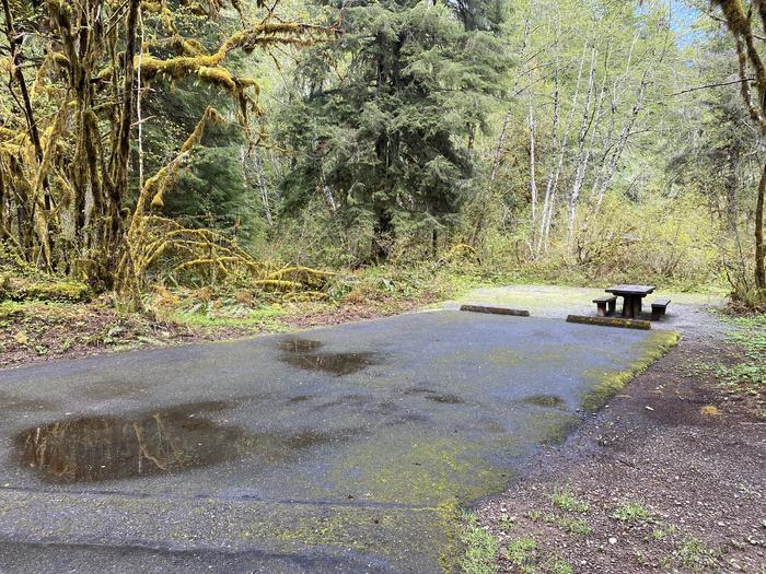 A photo of Site 003 of Loop LOOP A at COHO CAMPGROUND with Picnic Table, Fire Pit, Tent Pad
