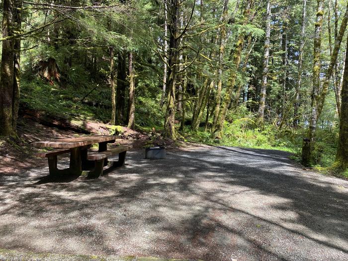 A photo of Site 036 of Loop LOOP B at COHO CAMPGROUND with Picnic Table, Fire Pit, Tent Pad