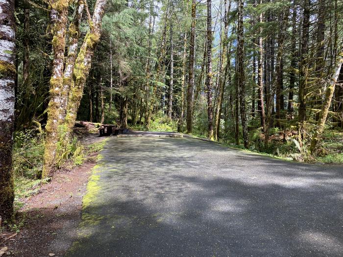 A photo of Site 036 of Loop LOOP B at COHO CAMPGROUND with No Amenities Shown